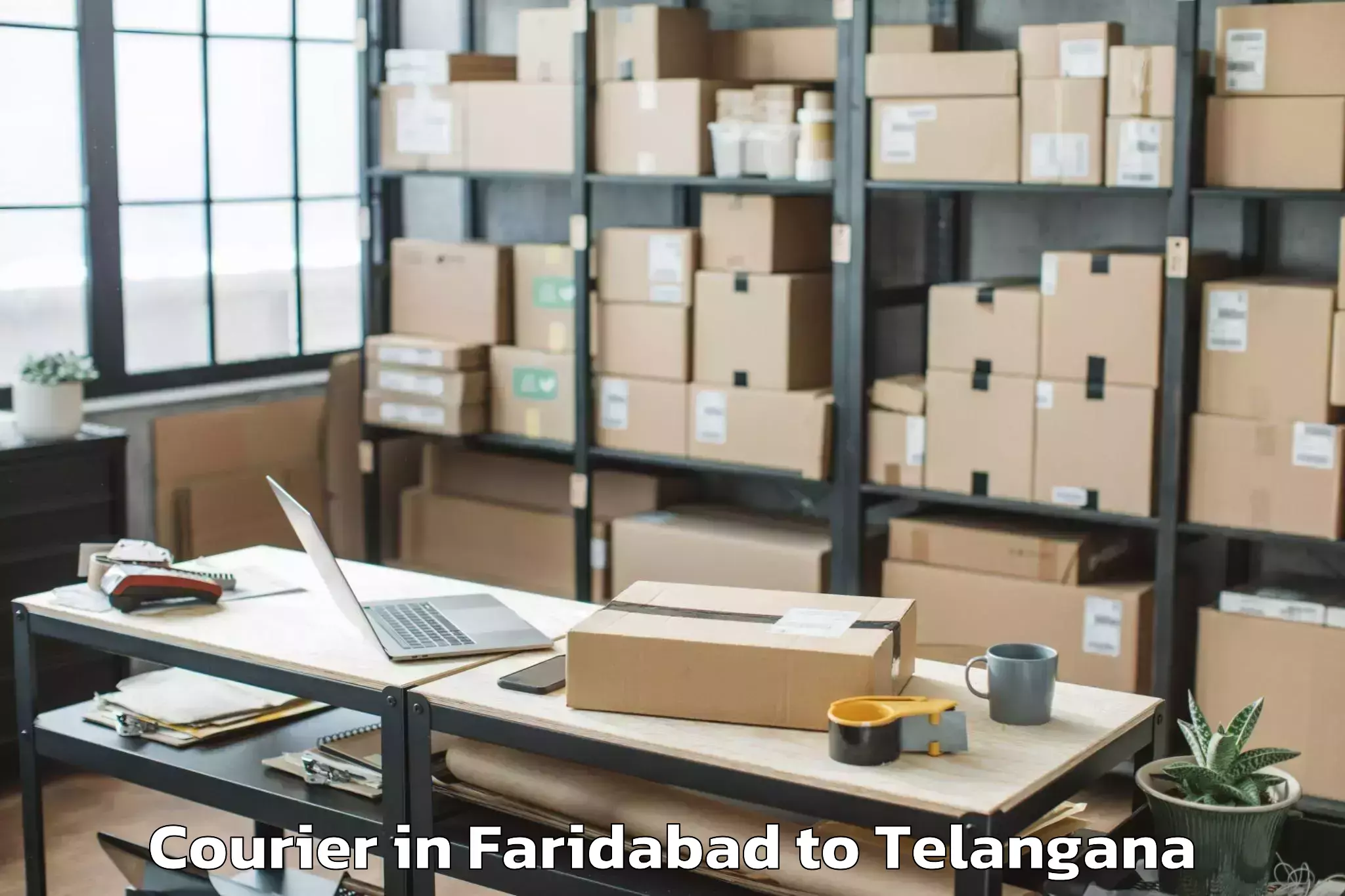 Quality Faridabad to Lingampet Courier